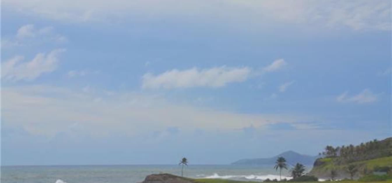 Mount Pleasant Land Lot 24