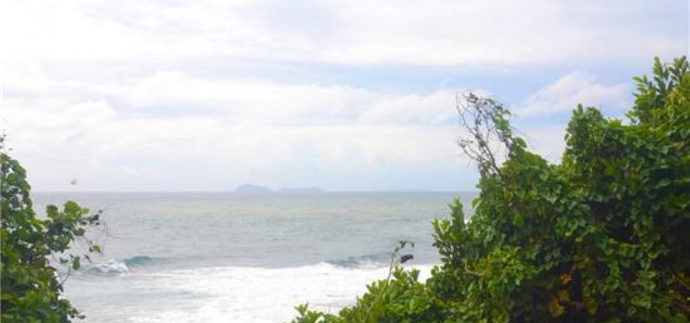 Mount Pleasant Land Lot 24