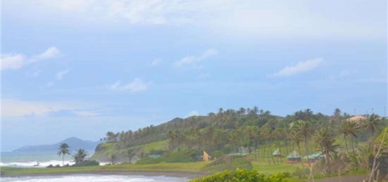 Mount Pleasant Land Lot 24