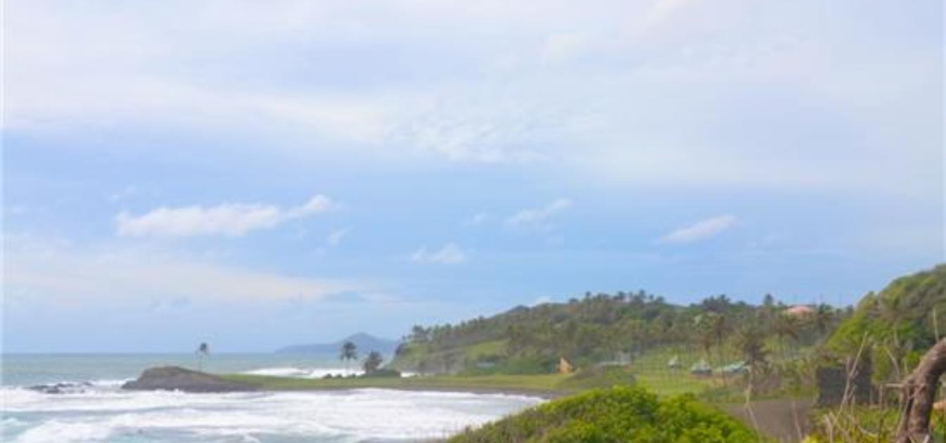 Mount Pleasant Land Lot 24