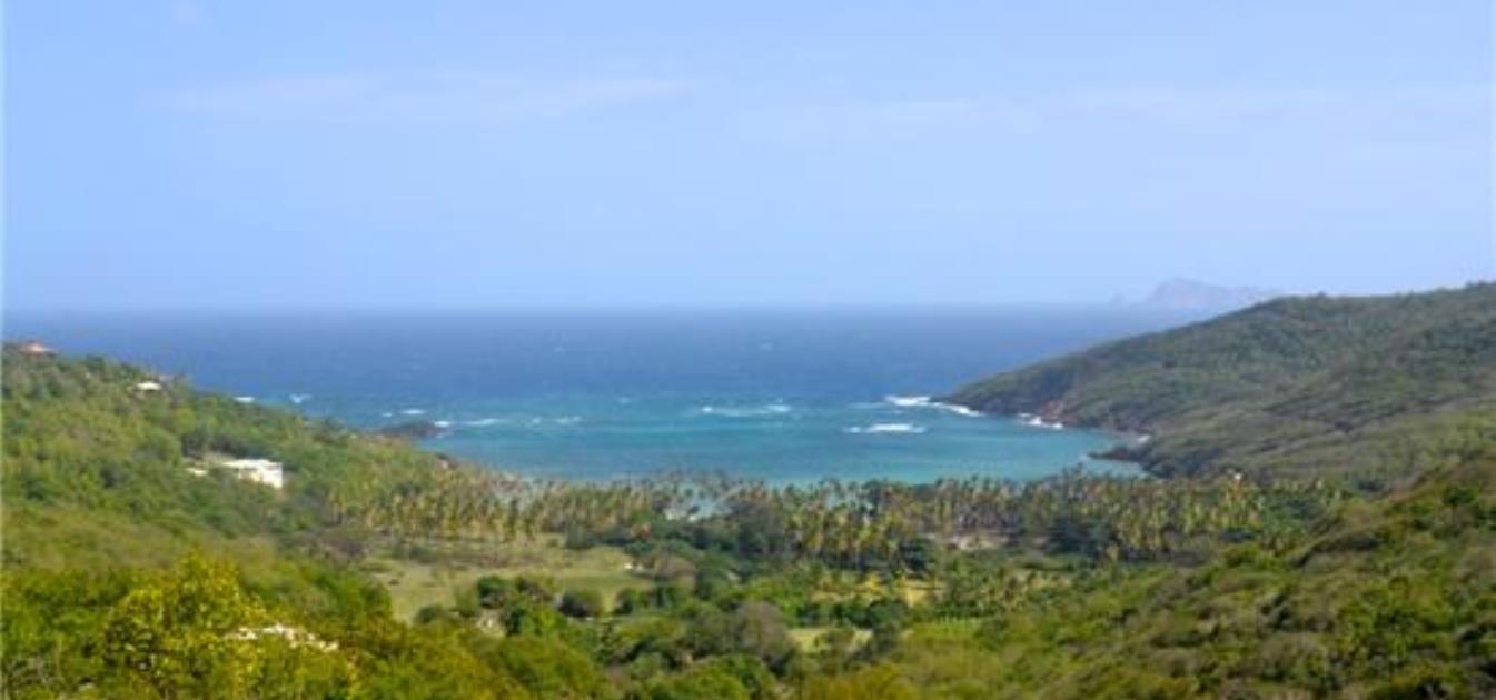Spring Estate Lot 57