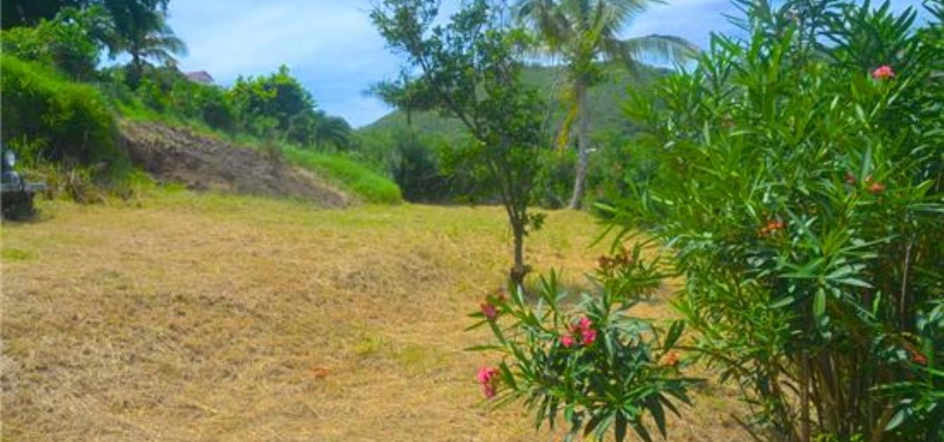 Lulleybye House with Land