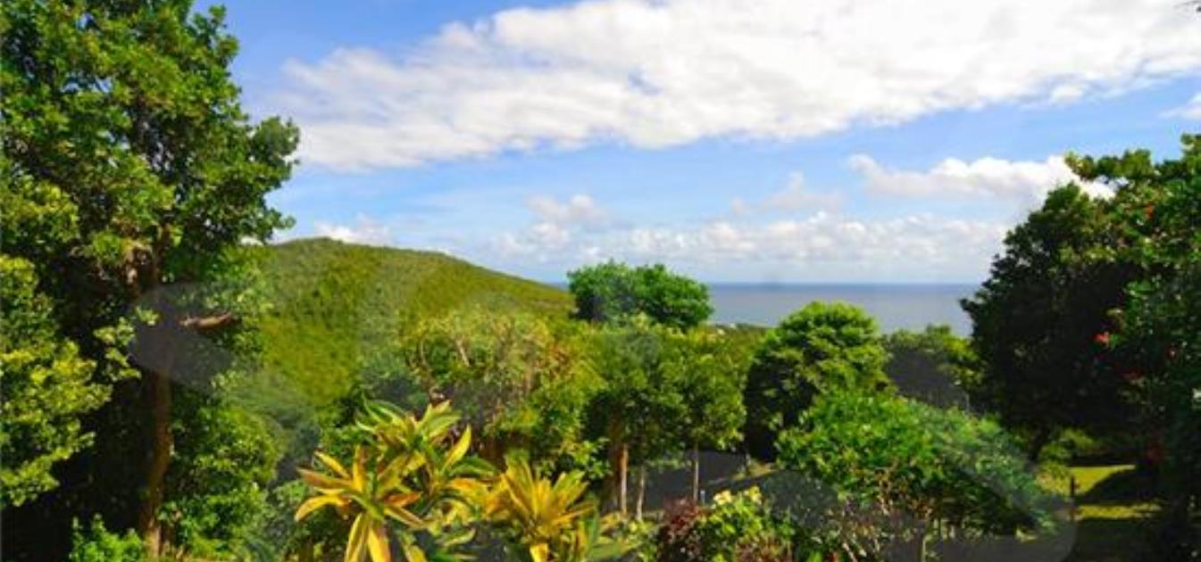 vacation-rentals/st-vincent-and-the-grenadines/bequia/spring/lime-cottage