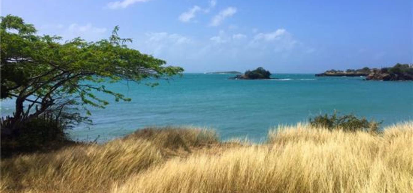 True Blue Point Headland