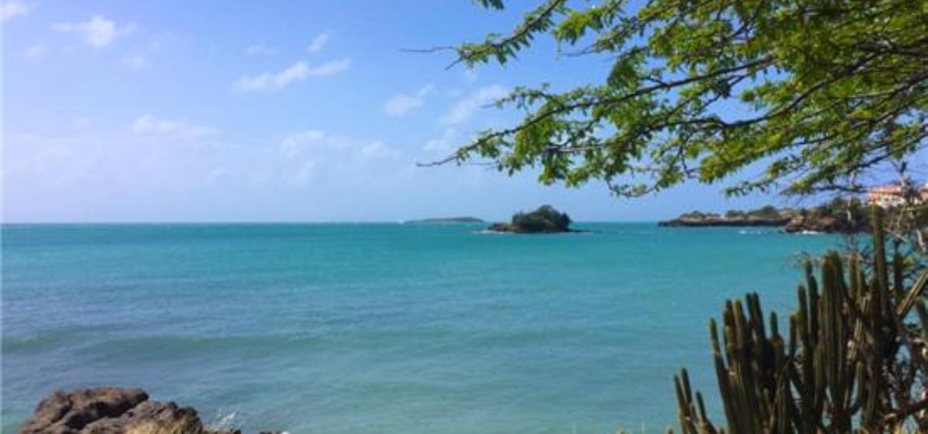 True Blue Point Headland