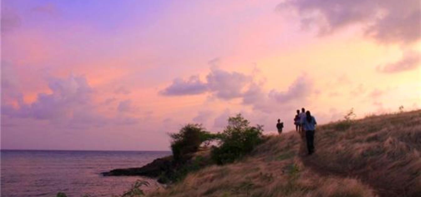 True Blue Point Headland