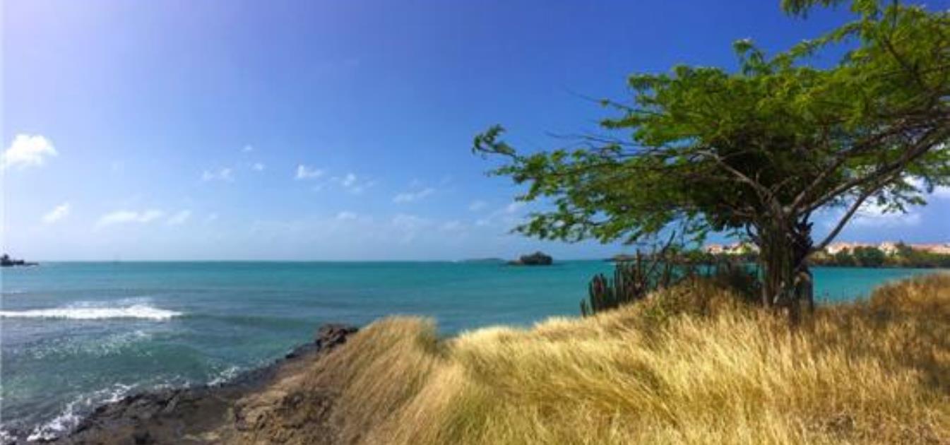 True Blue Point Headland