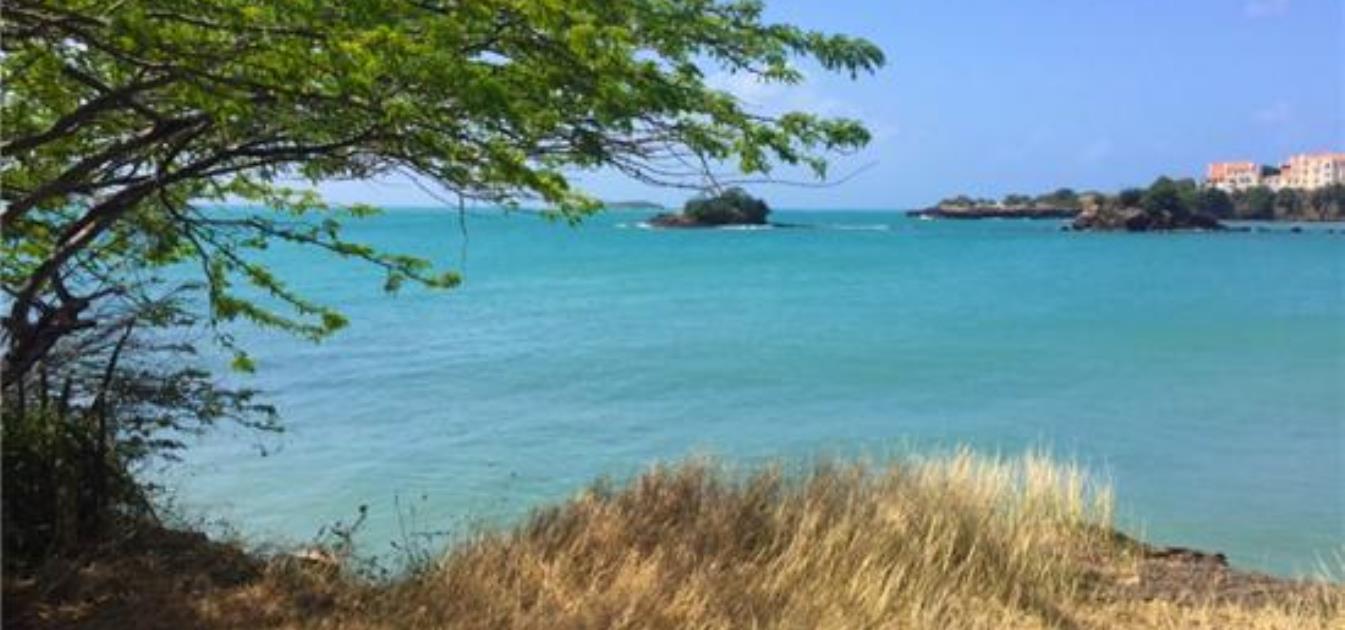 True Blue Point Headland