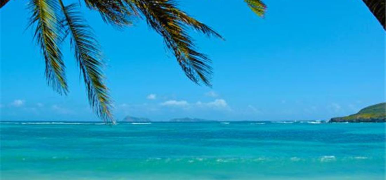 vacation-rentals/st-vincent-and-the-grenadines/bequia/crescent-bay/reef-house-2-bedroom-option