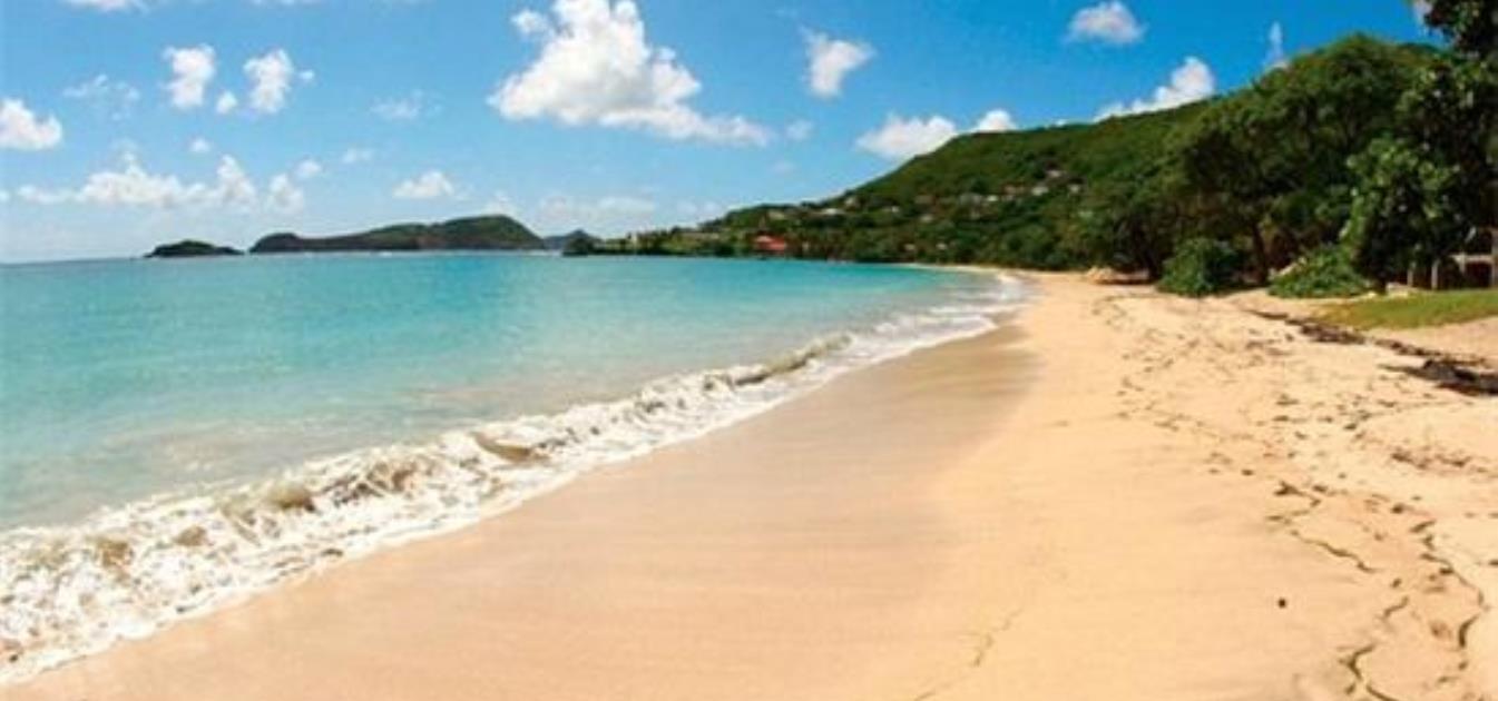 Friendship Heights Lot 23