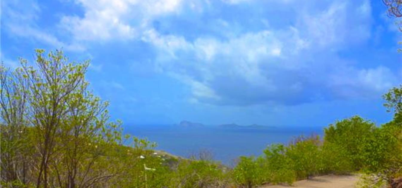 Friendship Heights Lot 23