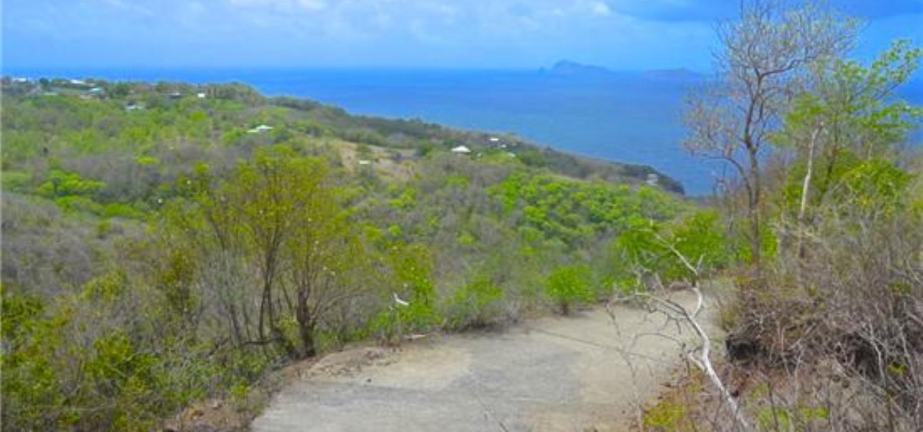 Friendship Heights Lot 23