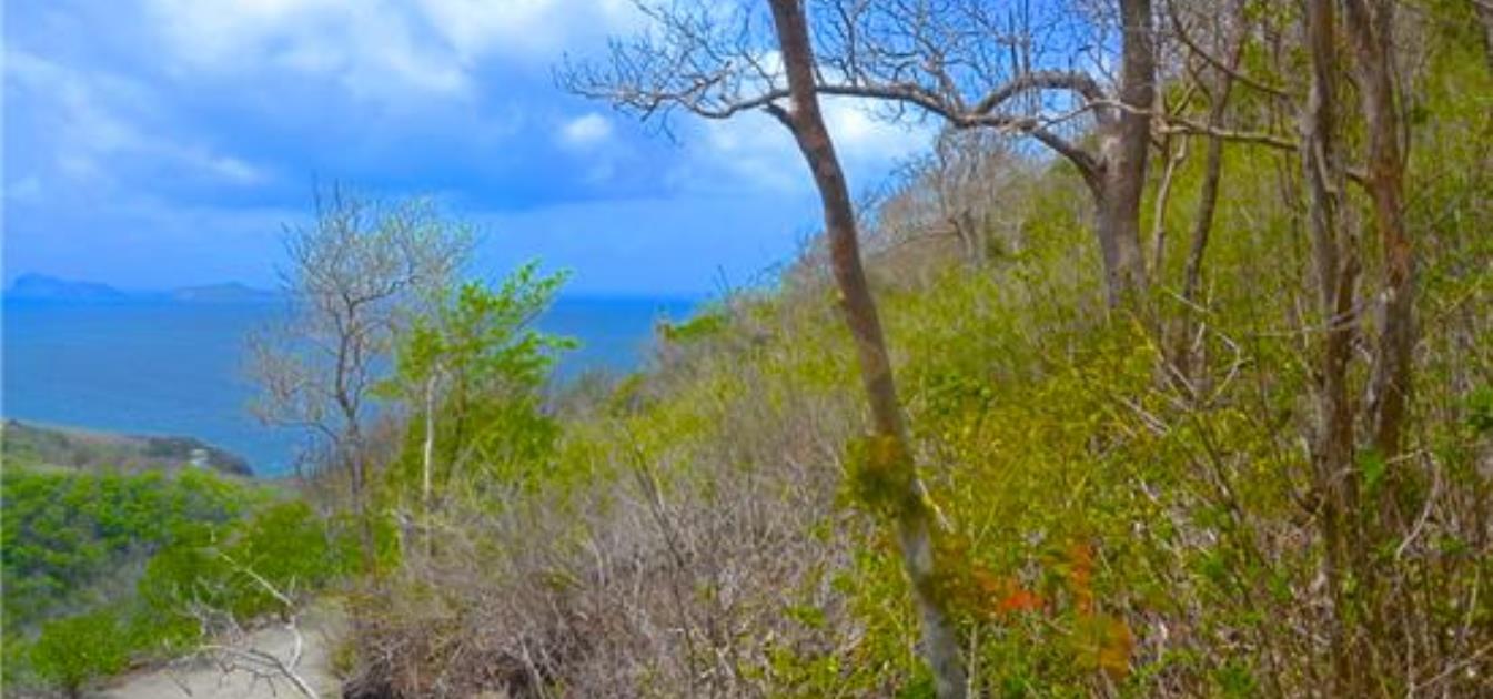 Friendship Heights Lot 23