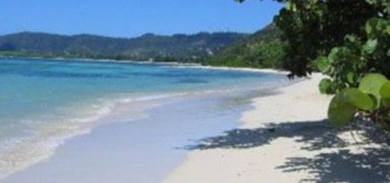 vacation-rentals/grenada/carriacou/l'esterre/seaclusion-suites