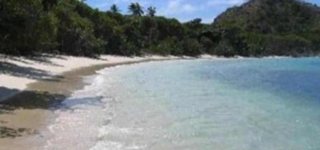 vacation-rentals/grenada/carriacou/l'esterre/seaclusion-suites