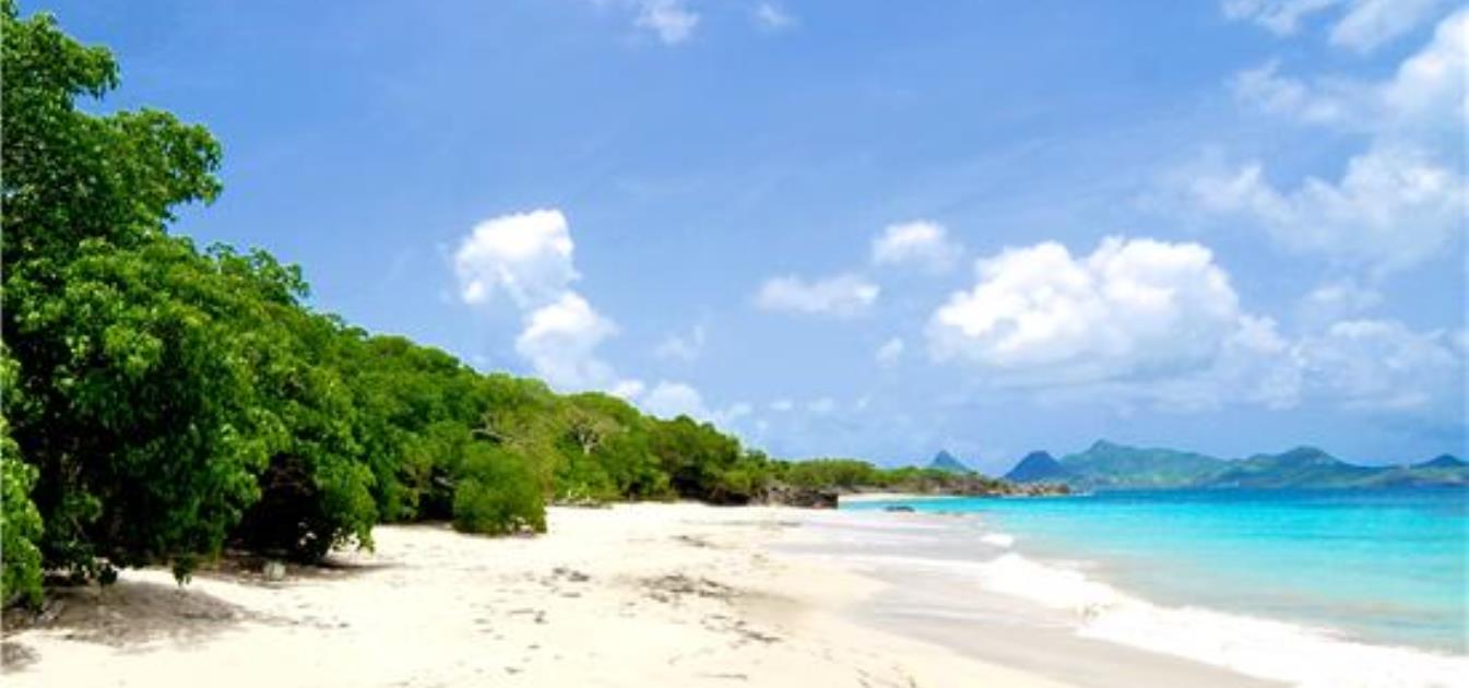 Beachfront 5 Acres