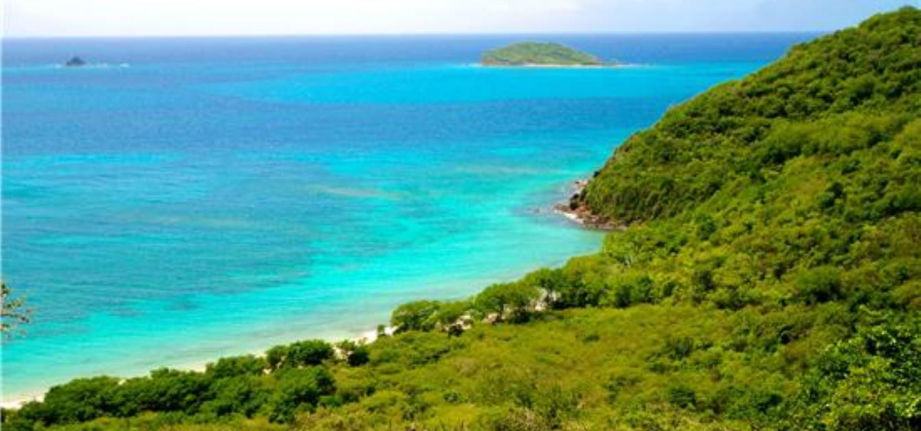 Beachfront 5 Acres