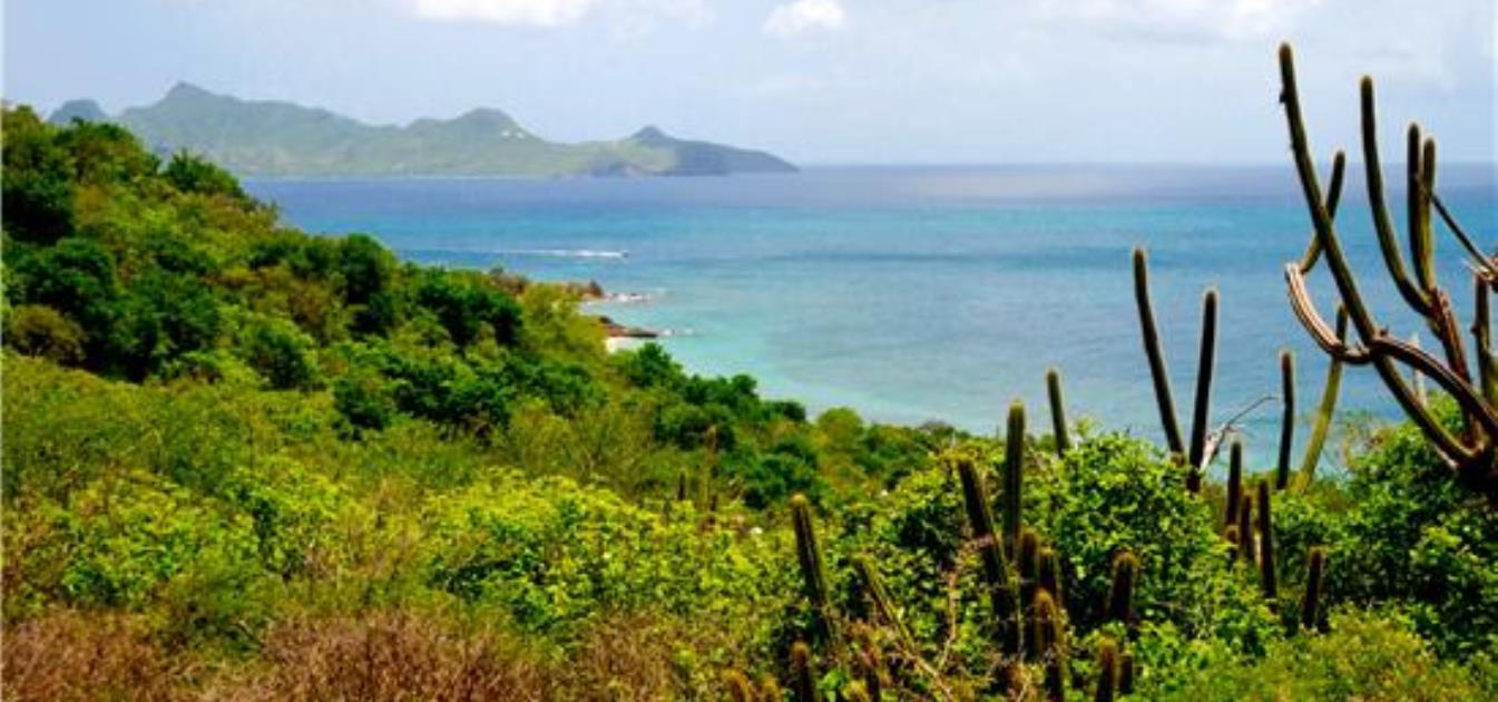 Beachfront 5 Acres