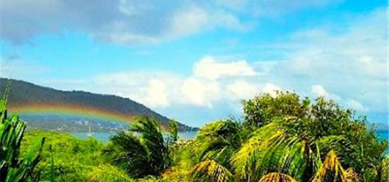 vacation-rentals/grenada/carriacou/point-saint-hilaire/bayaleau-green-cottage