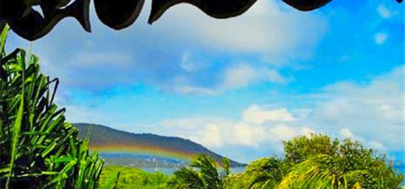 vacation-rentals/grenada/carriacou/point-saint-hilaire/bayaleau-yellow-cottage