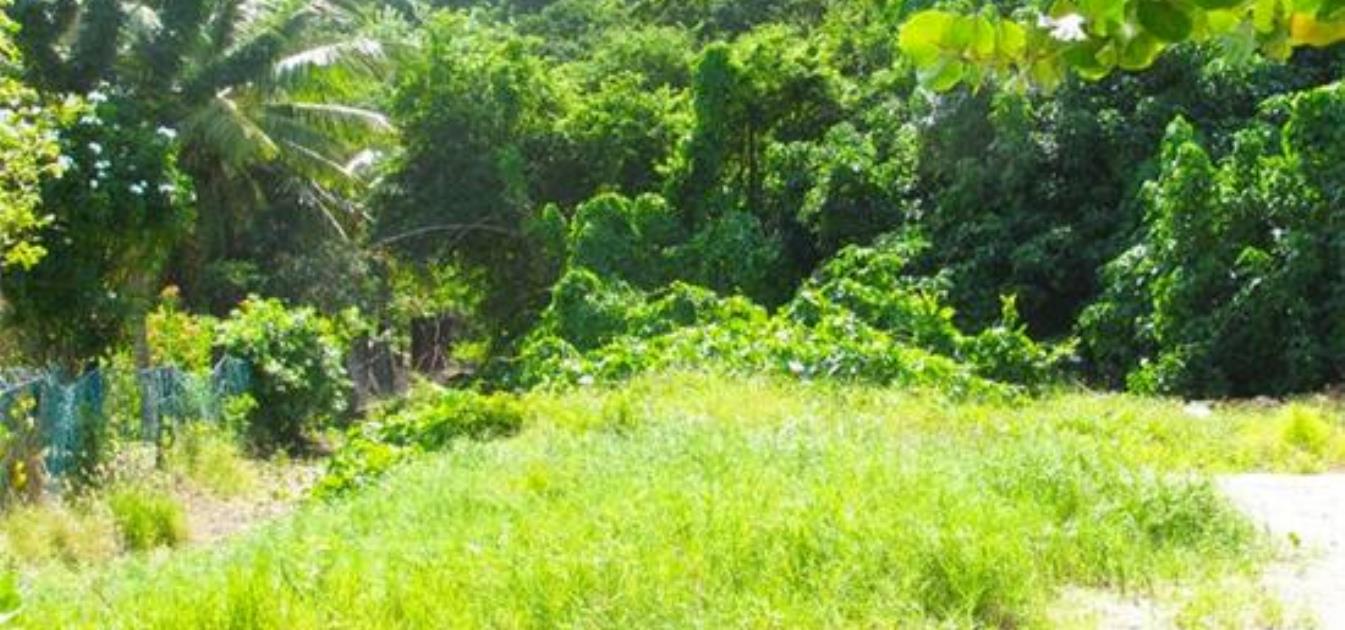 Morne Rouge Beachfront