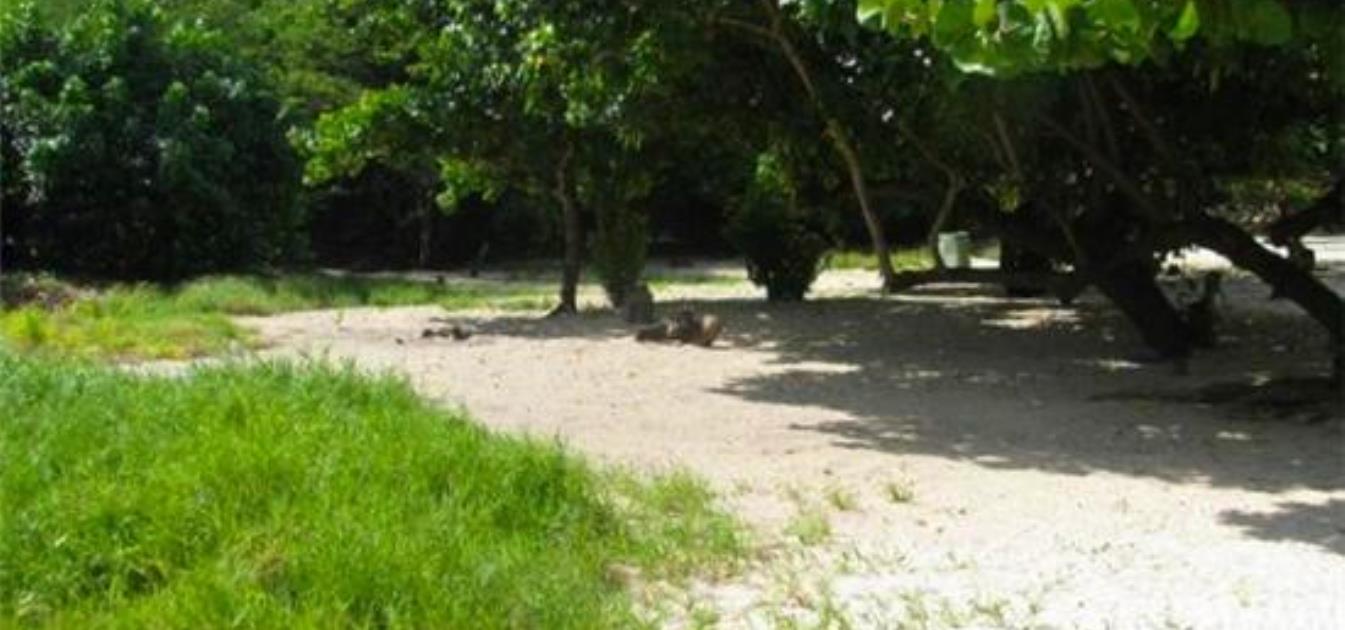 Morne Rouge Beachfront