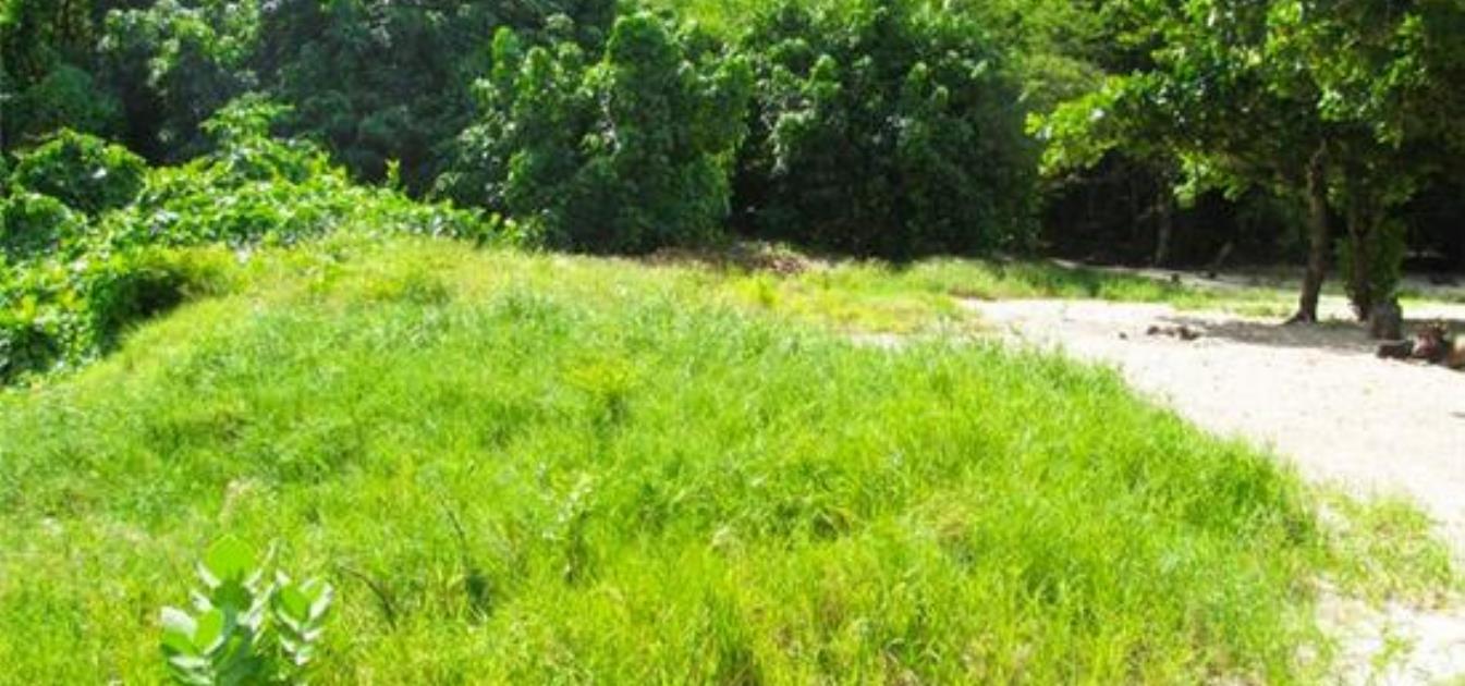 Morne Rouge Beachfront