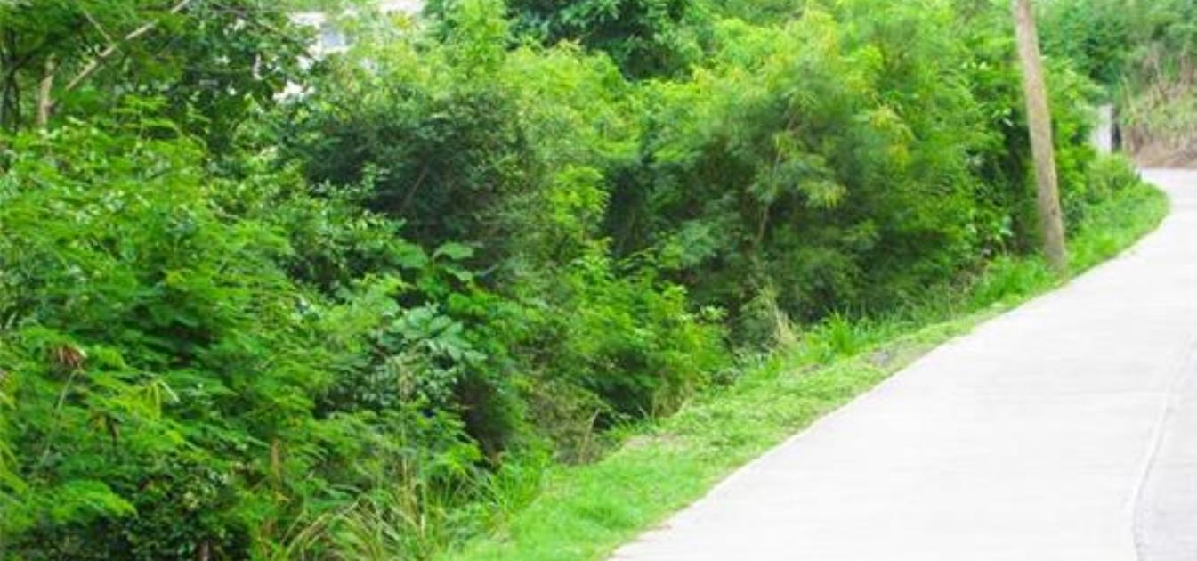 Morne Rouge Beachfront