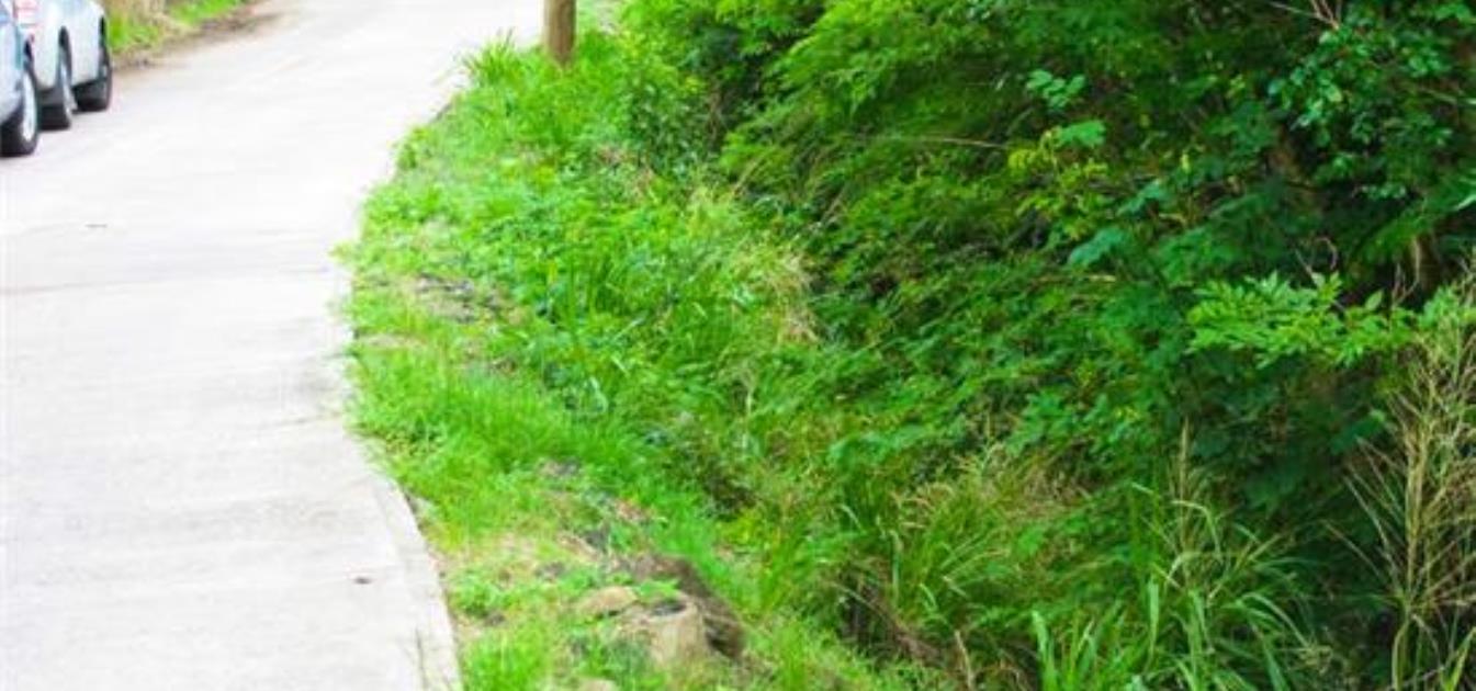 Morne Rouge Beachfront