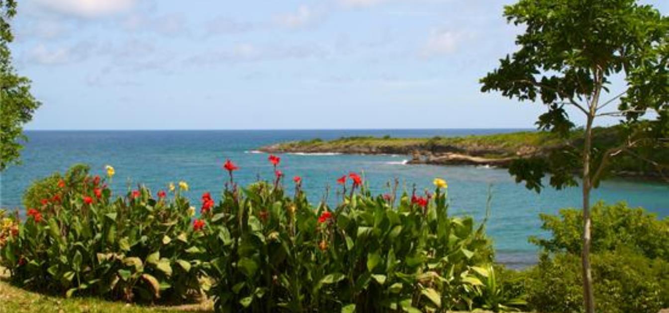 vacation-rentals/grenada/grenada-island/crochu/two-bays-cabier-beach-studio