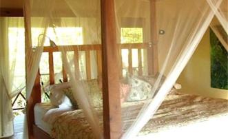 Driftwood Villa