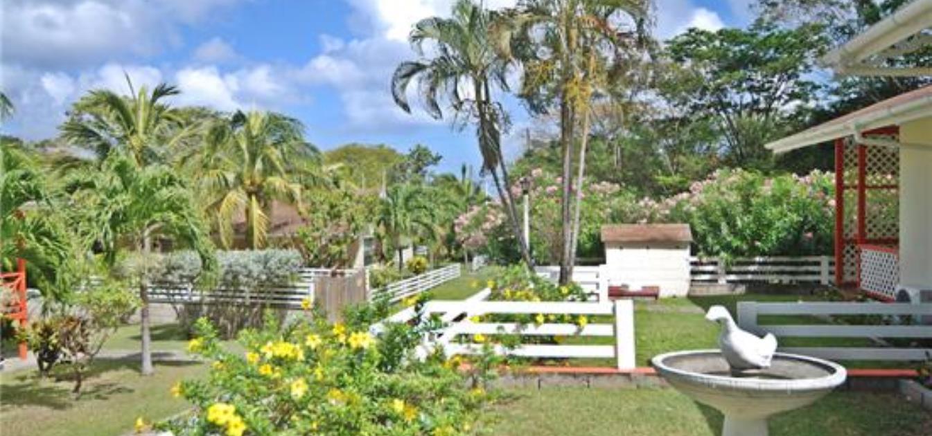 Kingsville 2 Large Cottages Option