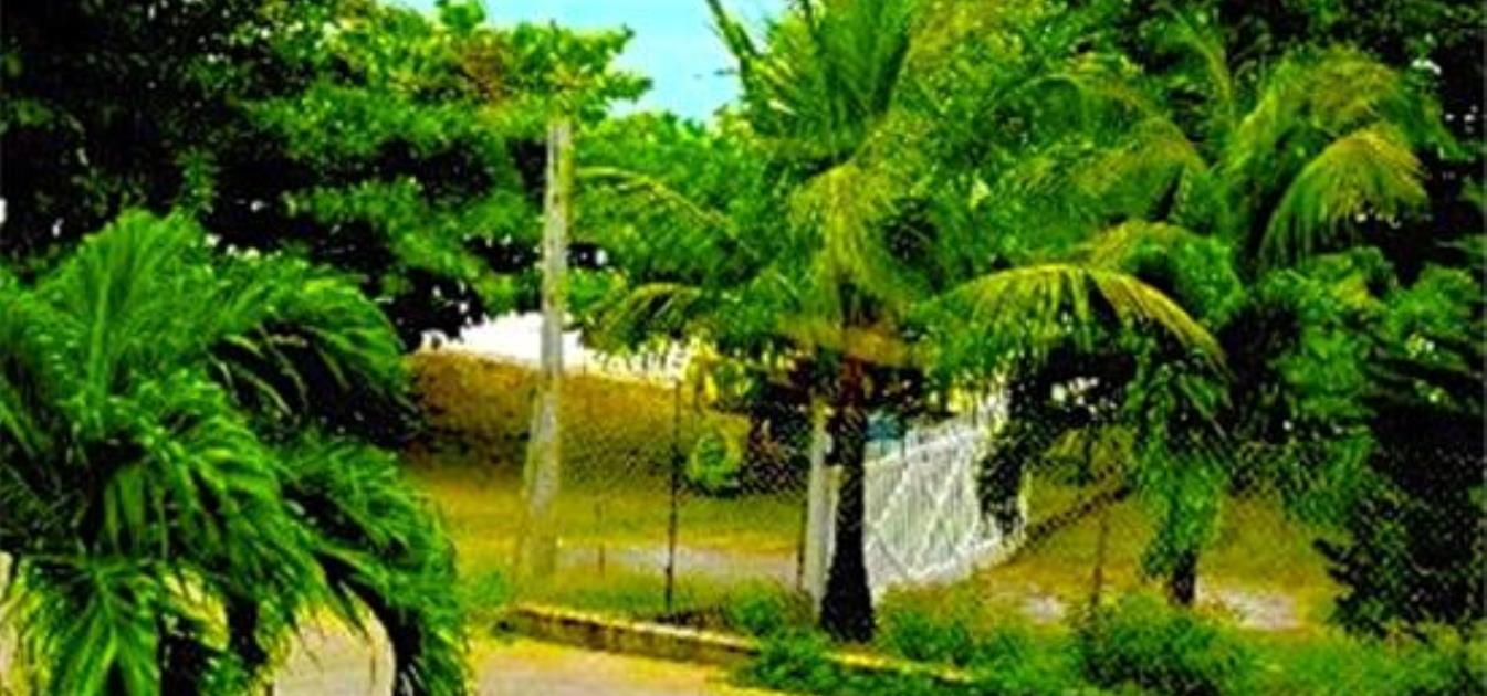 vacation-rentals/st-vincent-and-the-grenadines/bequia/lower-bay/casablanca-upper-villa