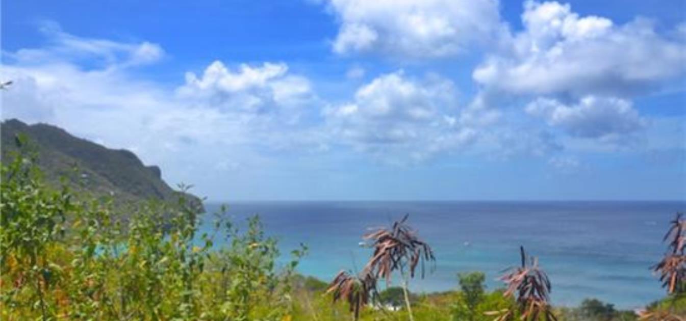 Lower Bay Hillside Land