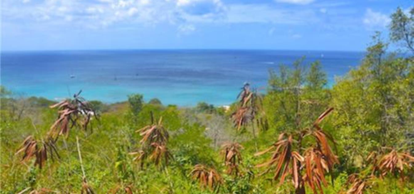 Lower Bay Hillside Land