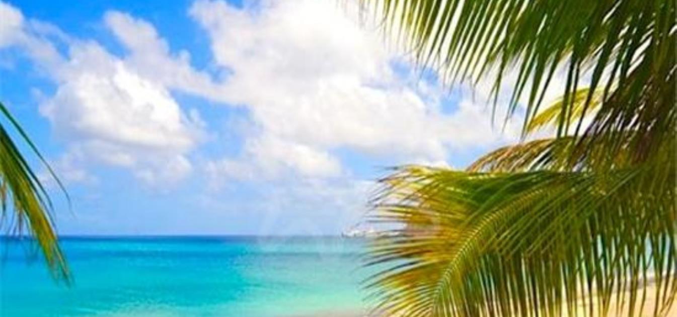 vacation-rentals/st-vincent-and-the-grenadines/bequia/lower-bay/casablanca-villa