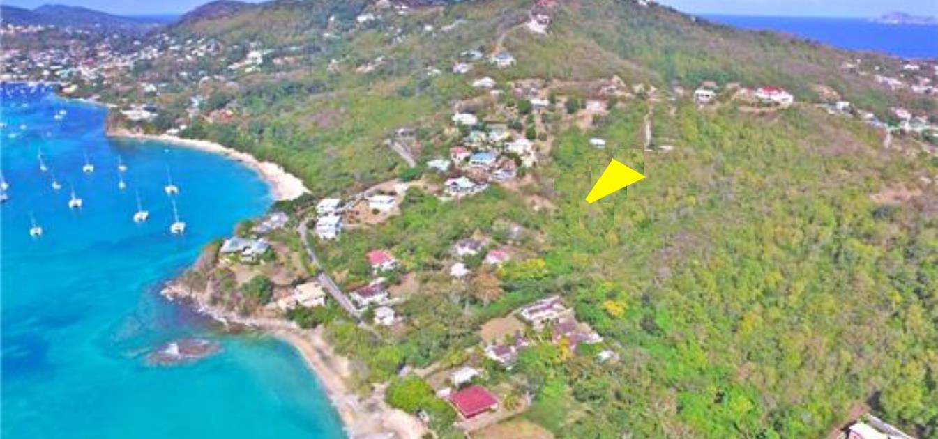 Lower Bay Hillside Land