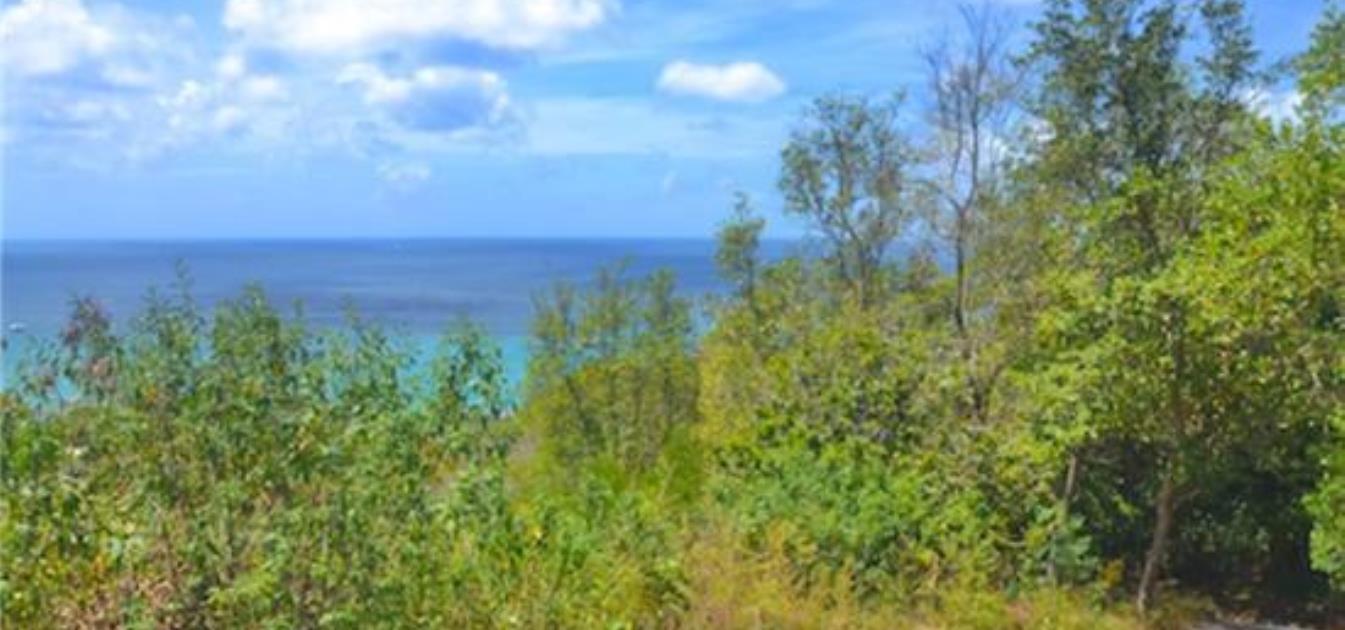 Lower Bay Hillside Land