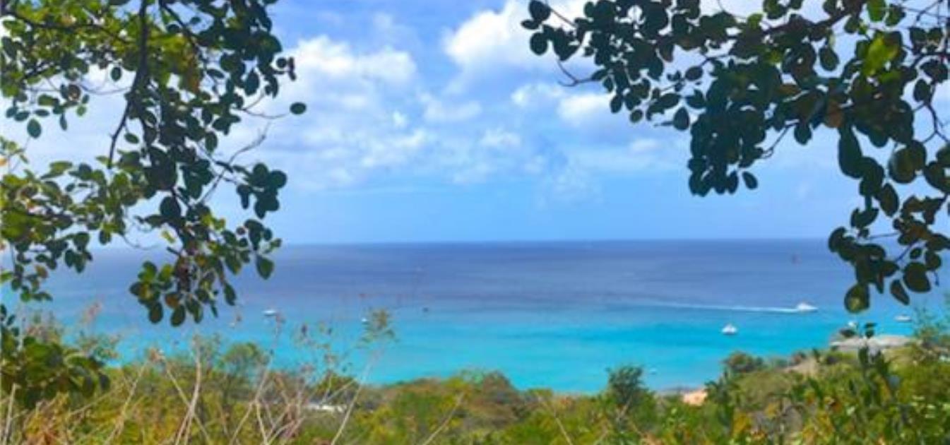 Lower Bay Hillside Land