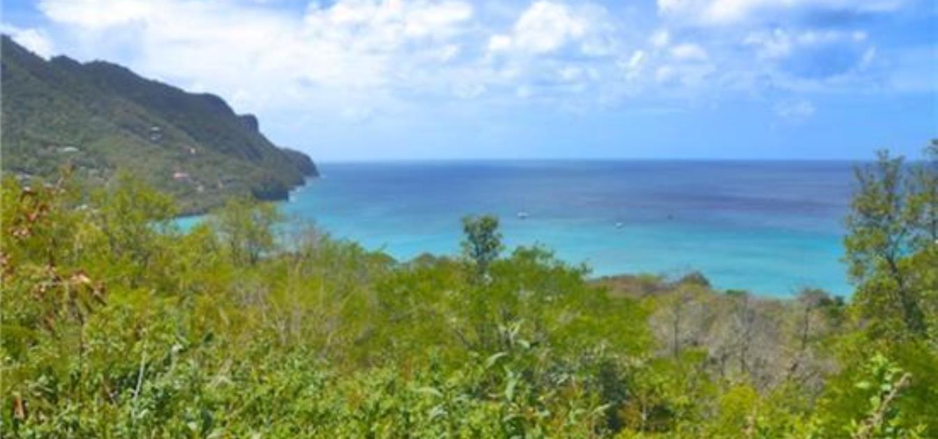 Lower Bay Hillside Land