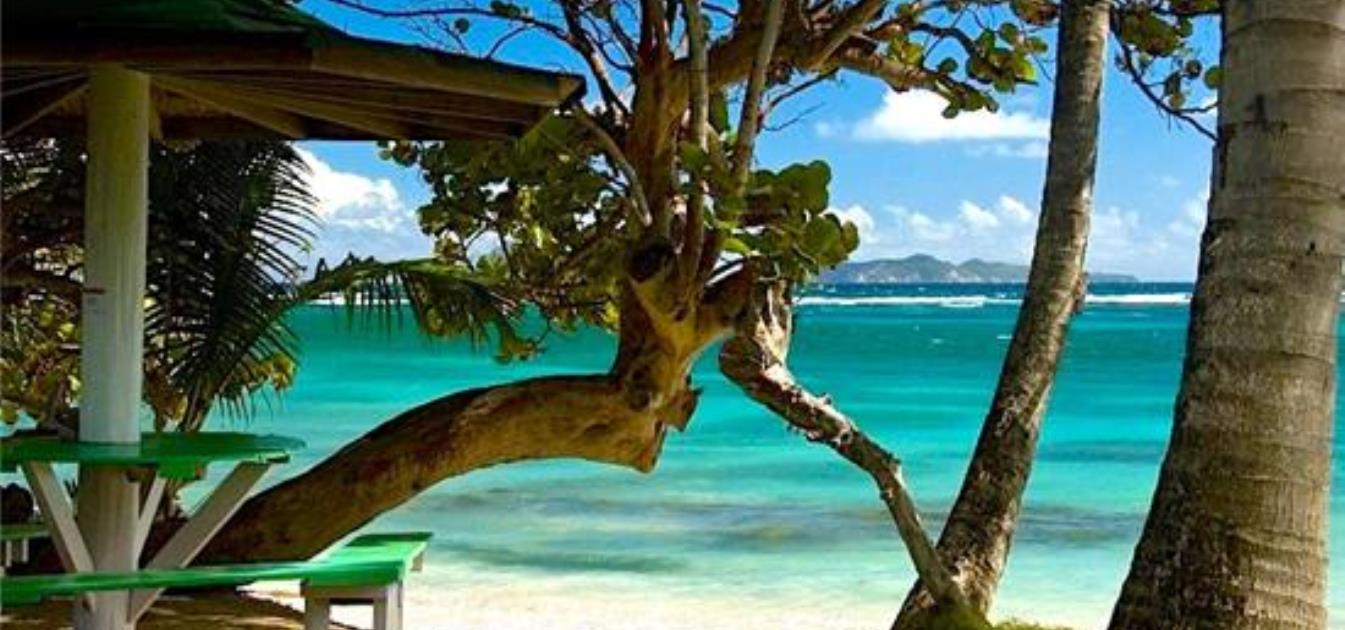 vacation-rentals/st-vincent-and-the-grenadines/bequia/crescent-bay/sugar-reef-beachfront-rooms
