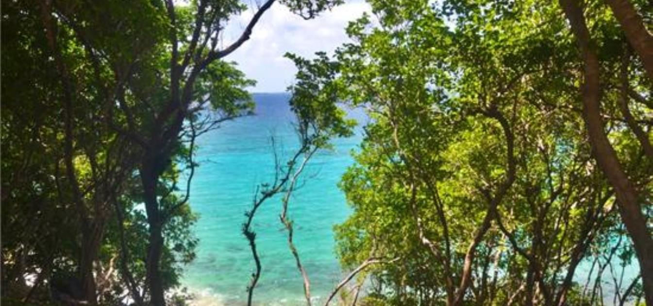 Moonhole Eco Property & Beachfront Land