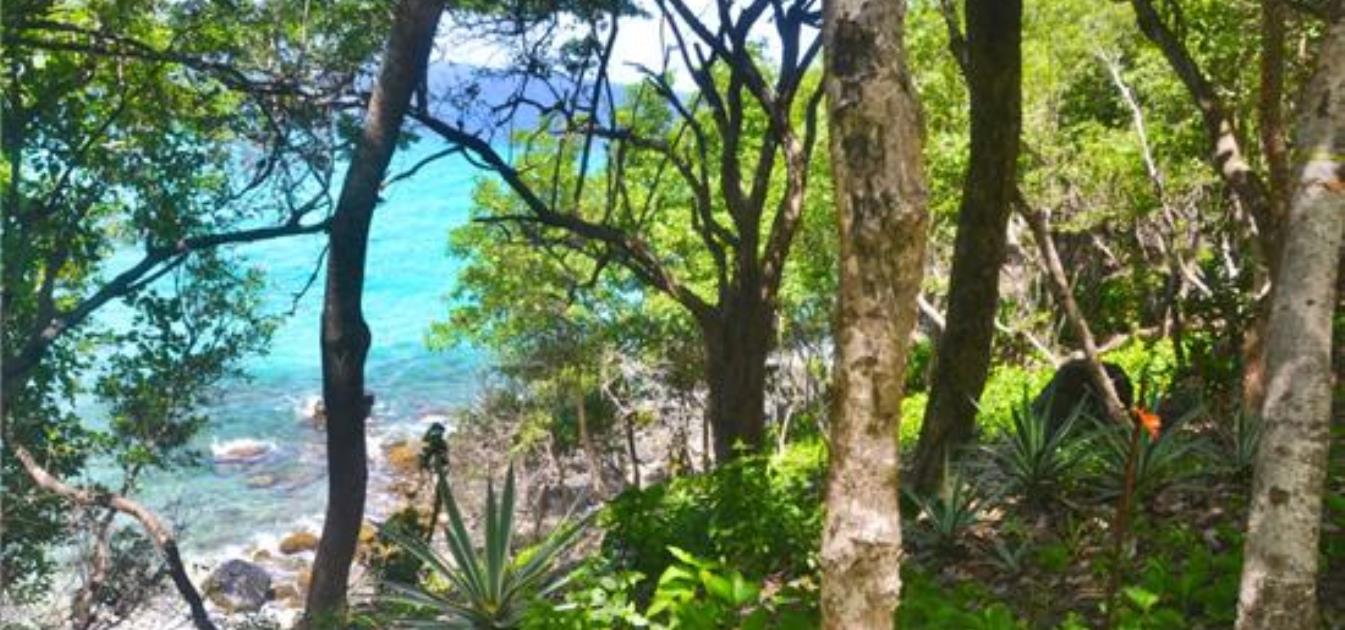 Moonhole Eco Property & Beachfront Land