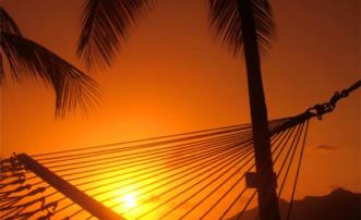 Palm View Rooms