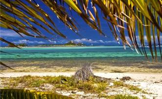 Anchorage Beach Cottage