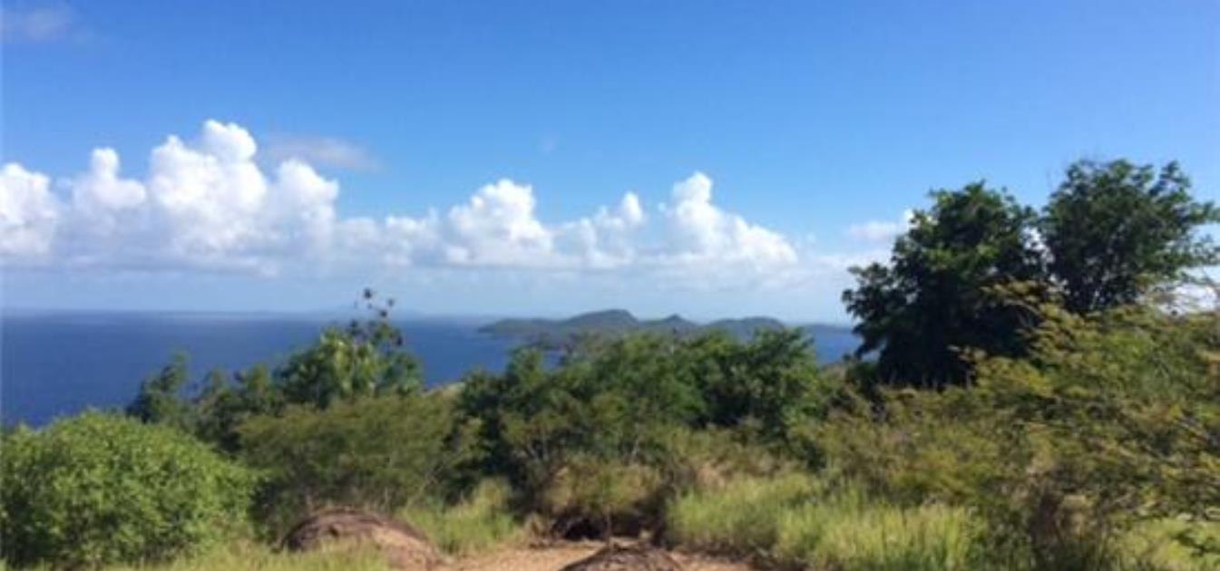 Mount Pleasant Residential Land A