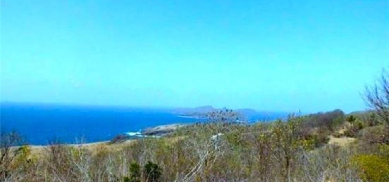 Mount Pleasant Residential Land A