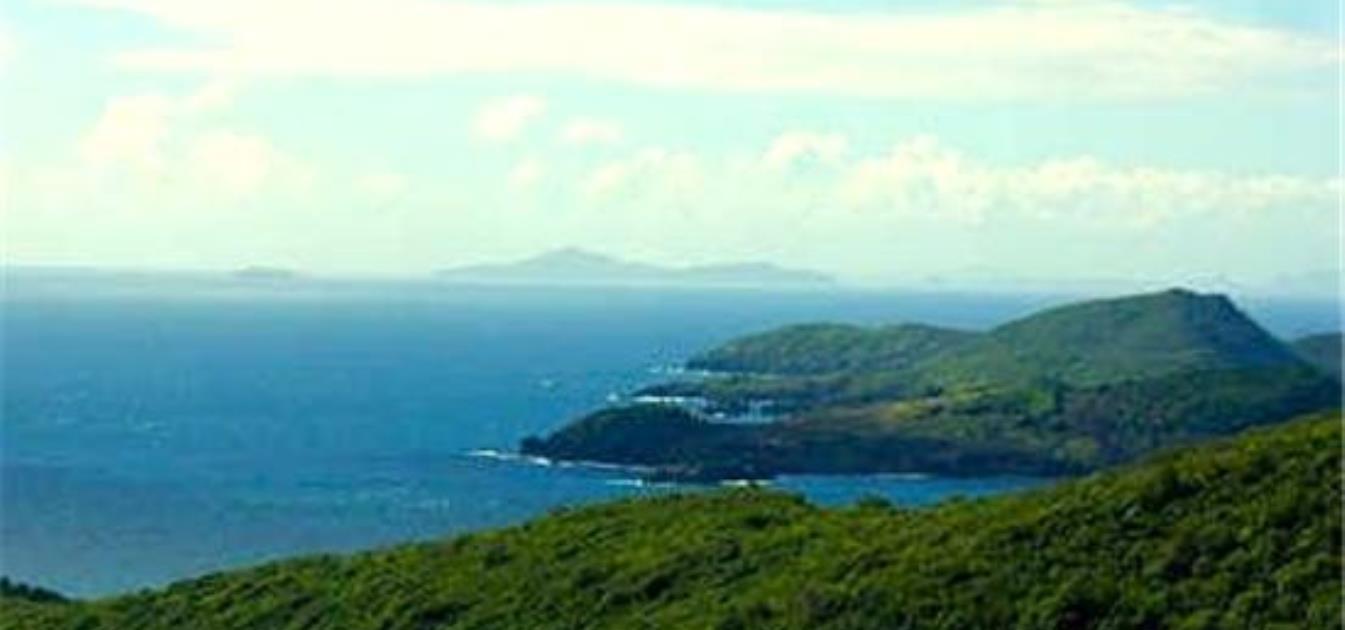 Mount Pleasant Residential Land A
