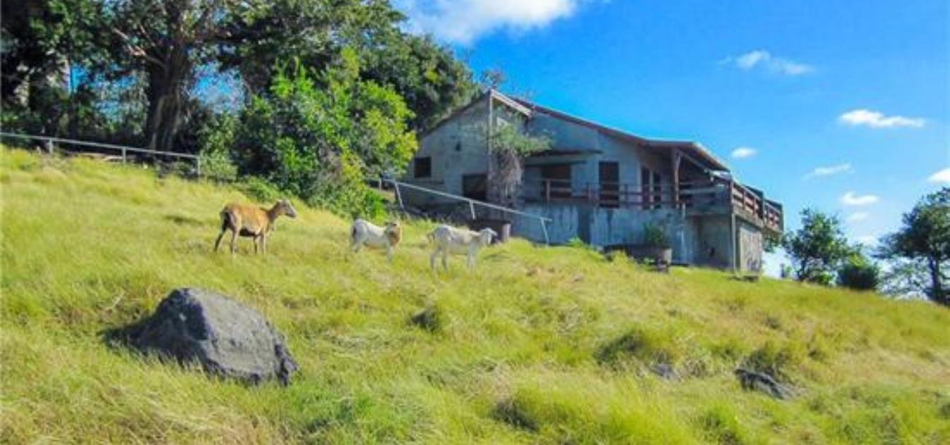 Two Oceans House & Land