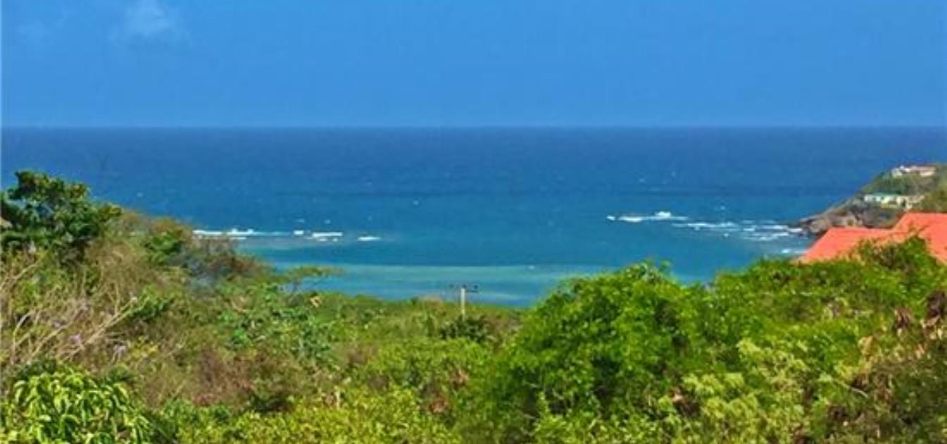 vacation-rentals/grenada/grenada-island/westerhall-point/zanzibar-villa